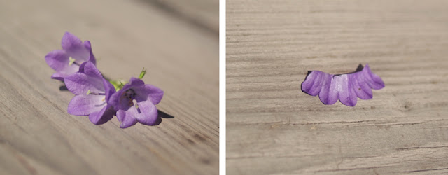 прикраси із квітів