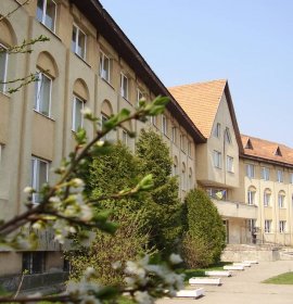 Лідер, багатопрофільний ліцей (ЗОШ І-ІІІ ступенів школа №20 м.Ужгорода)